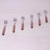 Šakučių rinkinys 6 vnt KAMILLE 5301