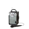 Liniex Stars - Karaoke Machine W/Bluetooth (30135)