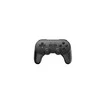 8BitDo PRO 2 belaidis pultelis (Juodas)