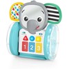 Baby Einstein Mažylis Einšteinas – Vijosi ir baksnoja Earl™ ropojimo ir vyties žaislas – (BE-16923)
