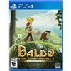 Pixn Love „Baldo The Guardian Owls“ (trijų fėjų leidimas) – „PlayStation 4“
