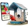 BirdBuddy – išmanusis paukščių tiektuvas 2.0 Mėlyna su saulės kolektorius