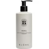 Björk - RENA Nuo pleiskanų & Dry Scalp Šampūnas - 300 ml