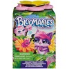 Hatchimals Bloomables - Bloom 1 Pack Asst. (6074234)
