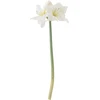 Bloomingville - Bertie Ornament - Raudona - Birch