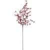 Bloomingville - Ilex Stem - Raudona
