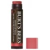 Burt's Bees – tonuotas lūpų balzamas Rose