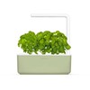 Click Grow „Click and Grow“ – išmaniojo sodo 3 pradinis rinkinys (spalva: šalavijų) (SGS13UNI)