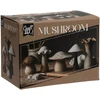 Craft ID - DIY Clay Set Mushroom (CR175207)