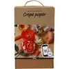 Cc Hobby Diy Kit „Pasidaryk pats“ rinkinys – krepinis popierius (97738)