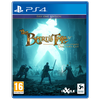 Inxile Entertainment Bardo pasaka IV (PlayStation 4)