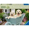 Ravensburger Dėlionė 200 vnt. - Mieli šuniukai