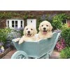 Dėlionė Ravensburger - Golden Retriever 200p Ad - (12001368)