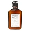 Depot 100 Hair Cleansing No. 101 Botanical Complex Hair Šampūnas Normalizing, 250 ml