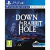 Perp Games „Down the Rabbit Hole VR“ – „PlayStation 4“