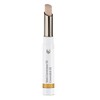 Dr. Hauschka Coverstick 01 Natural 2 g