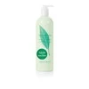 Elizabeth Arden Žalias Tea kūno losjonas, 500ml