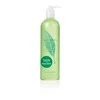 Elizabeth Arden Žalias Tea Energizing Bath & Dušo želė dušo želė, 500 ml