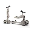 Paspirtukas - balansinis dviratukas Scoot &amp; Ride Highwaykick 1 2in1 Ash 96268