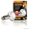 EXOTERRA - Intensyvi šviesa kaitinimuisi 50W S20 E27 oranžinė - (220.2450)