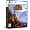 Fireshine Games Kapotas arklys prieš audrą PS5