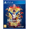 Game Mill Žaidimas Mill The Karate Kid: Street Rumble
