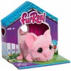 FURREAL MY MINI´S Interaktyvus mini gyvūnėlis
