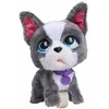 justplay Hasbro *****FRF Prancūzų buldogas vaikščiojantis su pavadėliu 81617