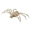 Hisabjoker Ab Joker - Halloween - Skeleton Spider (96173)