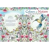 Hobby2You - Malebog A4 Colour of Nature 32 sider (789875)
