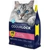 Intersand – Catlitter „Odor Lock“ milteliai kūdikiams, 12 kg – (77797921012)