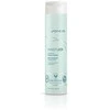 Joico - INNERJOI drėkinamasis kondicionierius 300 ml