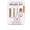 Kikkerland – Gentlemans Beard Tin (CD144)