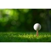 Kikkerland – Gopher Golf Tee S/6