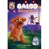 KNYGA Carlsen Baloo – Balladen om rockstjernen