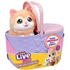 LITTLE LIVE PETS Interaktyvus rinkinys „Mama Surprise Kitty“