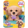 Moose Interaktyvus šuniukas Little Live Pets Daxie