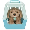 Little Live Pets - Mano Tikrai Tikras Šuniukas - Curley (26612)