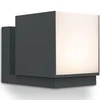LUTEC Cuba 5193803118 LED Outdoor Light Strong