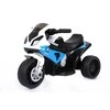 Leggodt Asilas – elektrinis motociklas BMW S1000 (6950107)
