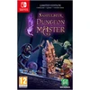 Microids Naheulbeuk's Dungeon Master (ribotas leidimas) – Nintendo jungiklis