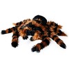 Mikamax - milžiniškas tarantulas