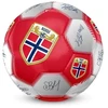 NFF - Balta futbolo kamuolys - 5 dydis (8014942)