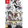 NIS Kaligulos efektas: perdozavimas – „Nintendo Switch“
