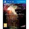 NIS NATŪRALUS DOKTRINAS – PlayStation 4