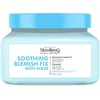 Petal Fresh - „Skin ResQ Soothing Blemish Fix“ šveitiklis nuo dėmių - 473 ml.