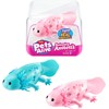 Pets Alive Gyvi gyvūnai – „Swimming Axolotl“ (9556UQ1)