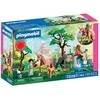 Konstruktorius Playmobil Fairies' Day Trip (72067)