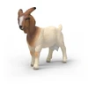 Schleich figūrėlė Būrų veislės ožka