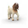 Schleich figūrėlė Būrų veislės ožiukas